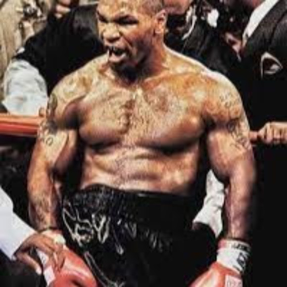 Meet your Posher, Leo - Picture 1 of 1